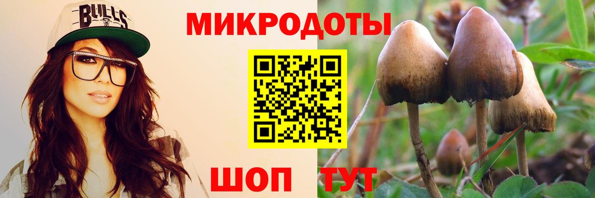Псилоцибиновые грибы Psilocybe  Вход с VPN  где продают   Псилоцибиновые грибы Psilocybe  Гуково 